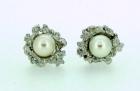 Orecchini  in argento 925%°e perle Linea Fusion art.1340140